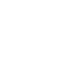 N (1)